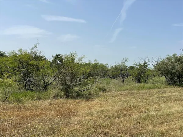 a view of a field with trees in background