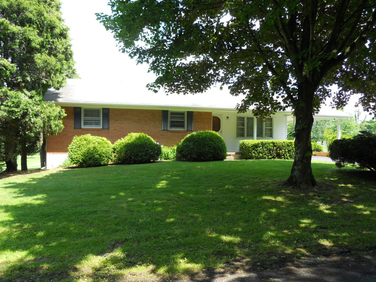 Reynolds Subdivision Road Frankford, WV 24938 - Photo 6 of 50 from road