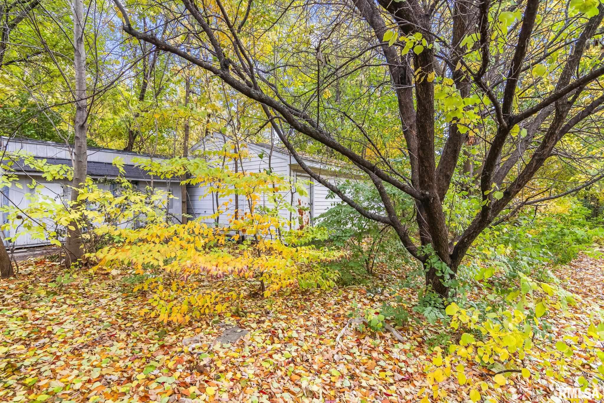 1504 East Phillips Street Springfield, IL 62702 - Photo 27 of 30