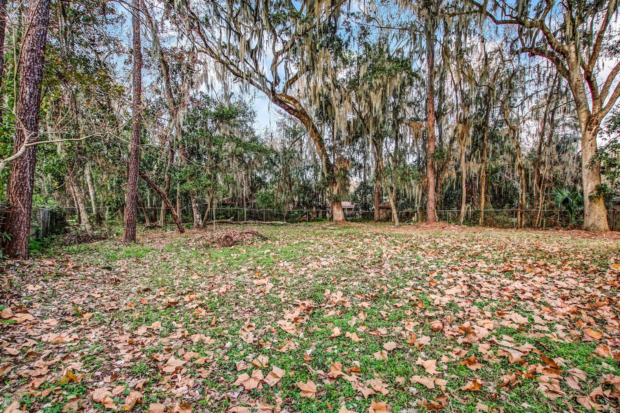 2965 Magnolia Road Orange Park, FL 32065 - Photo 33 of 38 2965 Magnolia Rd-15