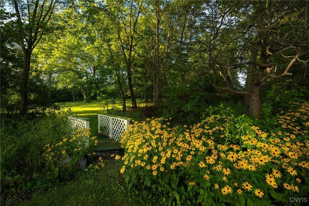 1860 East Lake Road Skaneateles, NY 13152 - Photo 7 of 10