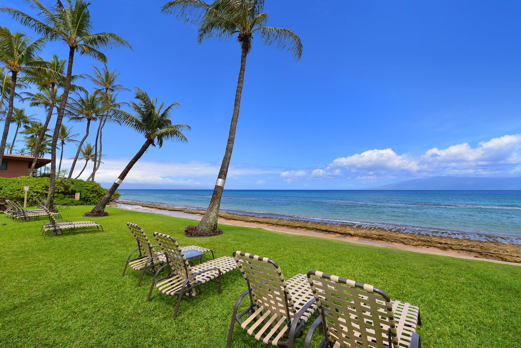 3601 Lower Honoapiilani Road, Unit 210 Lahaina, HI 96761 - Photo 25 of 25 a garden with trees in the background