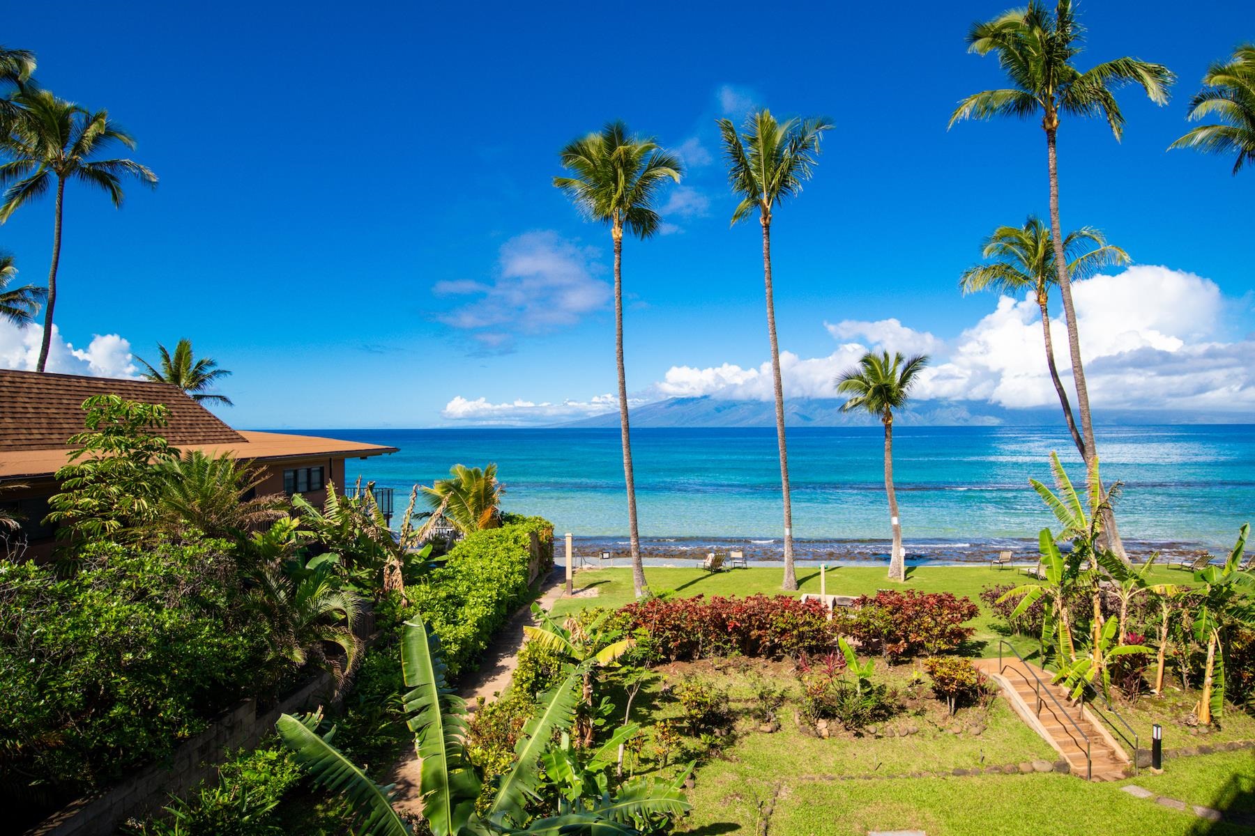 3601 Lower Honoapiilani Road, Unit 210 Lahaina, HI 96761 - Photo 5 of 25 a plant view