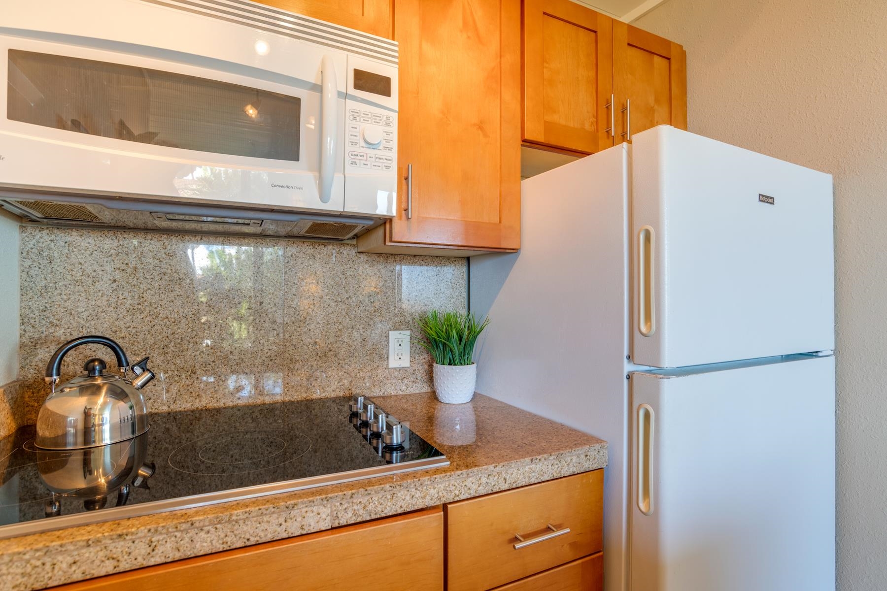 3601 Lower Honoapiilani Road, Unit 210 Lahaina, HI 96761 - Photo 7 of 25 a close view of a sink and a potted plant on a counter