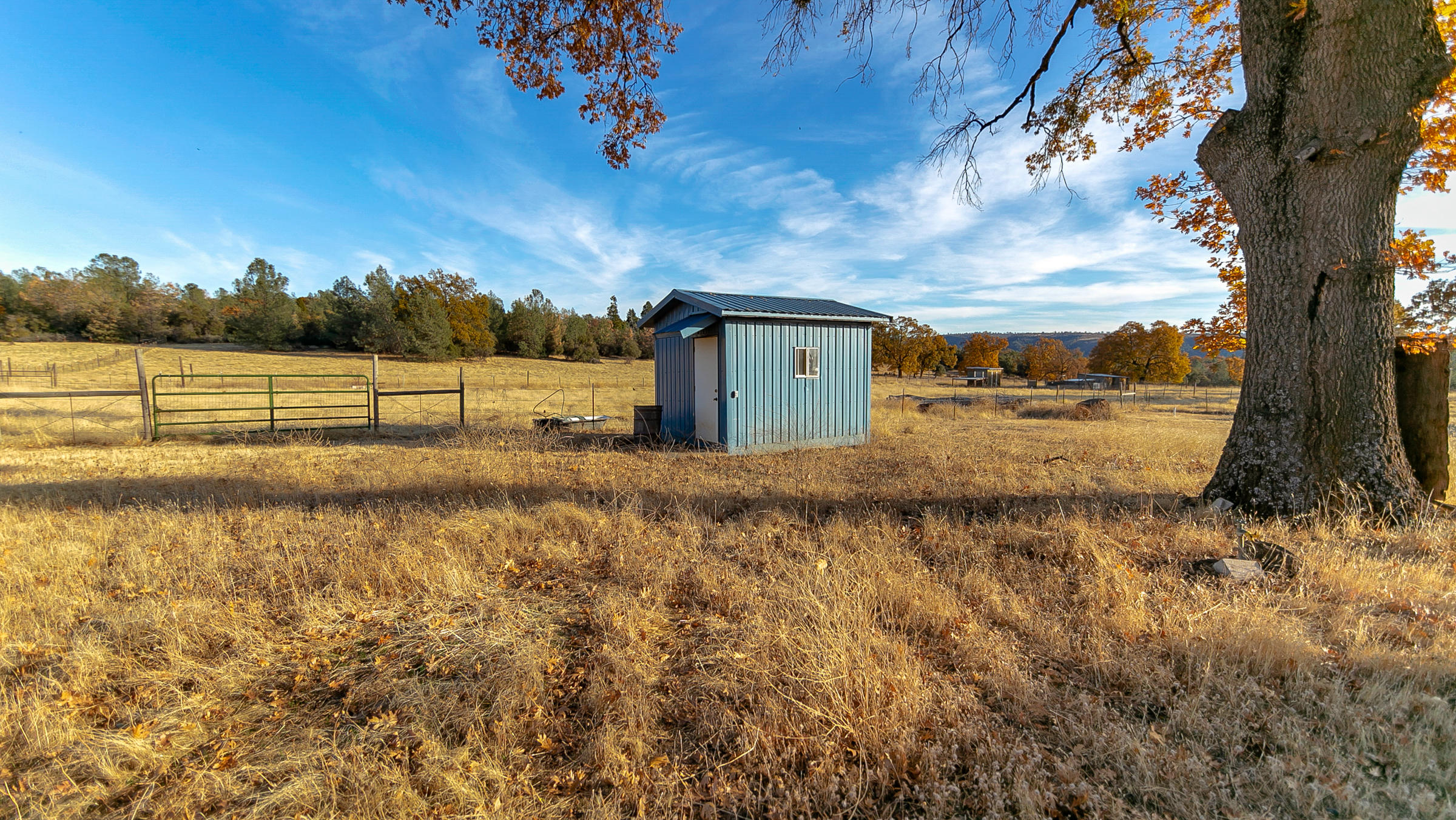 21560 South Powerhouse Road Manton, CA 96059 - Photo 12 of 41 13.2 gorgeous acres for peaceful living