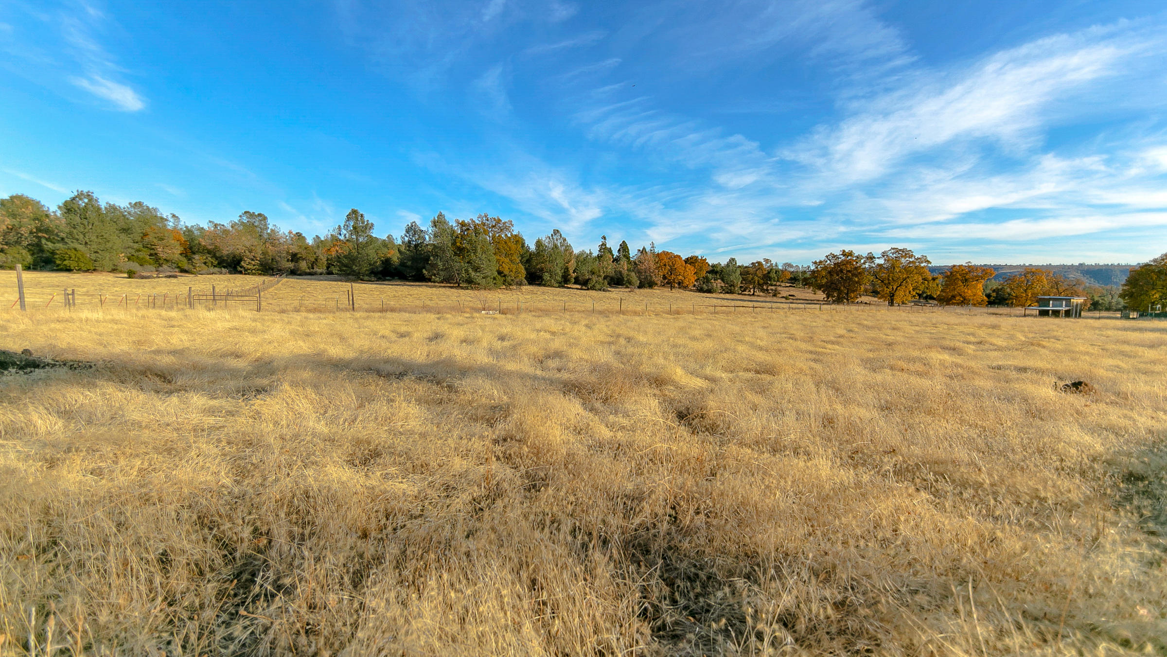 21560 South Powerhouse Road Manton, CA 96059 - Photo 14 of 41 Wide open spaces