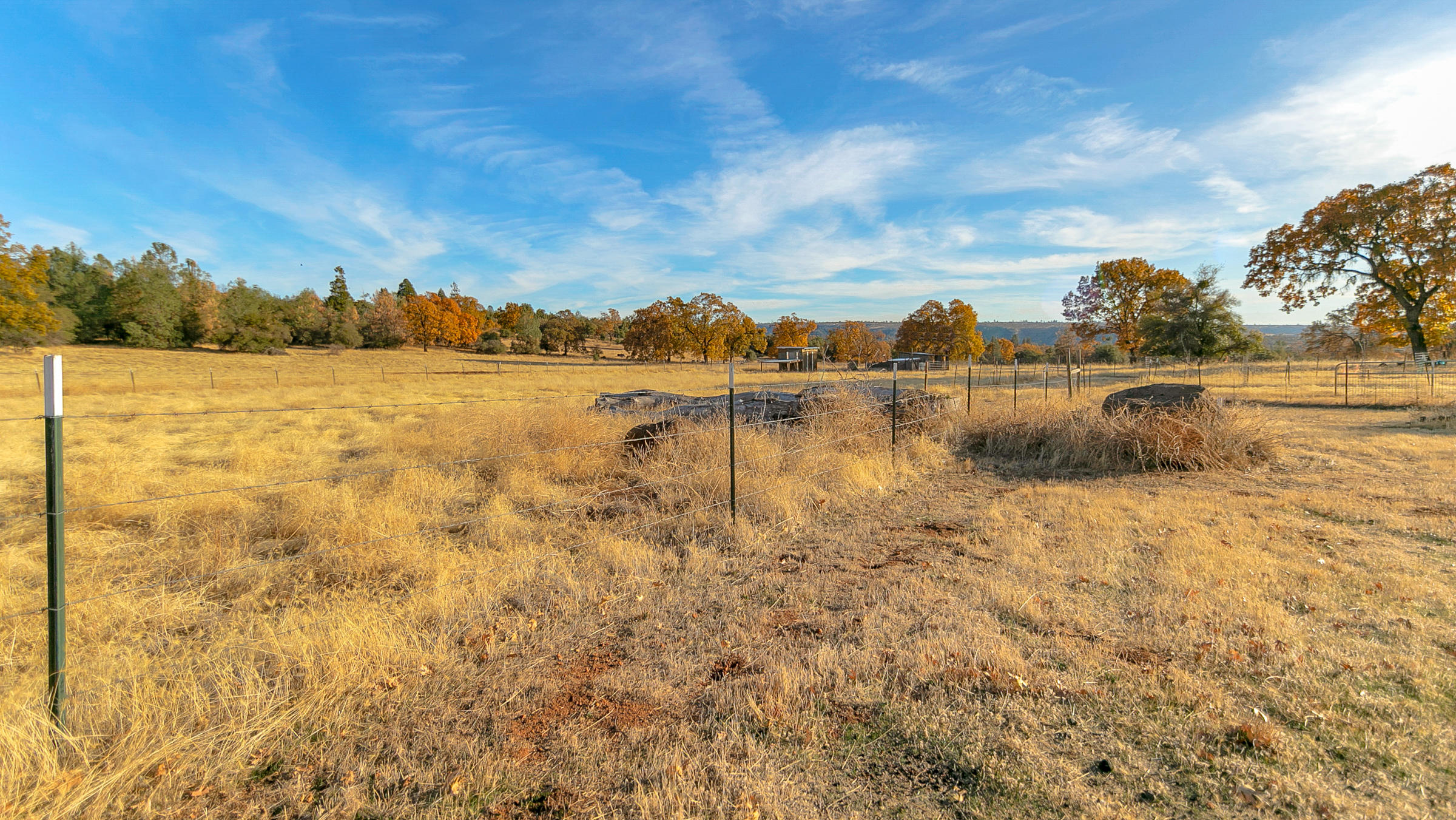 21560 South Powerhouse Road Manton, CA 96059 - Photo 15 of 41 Bring the horses and farm animals