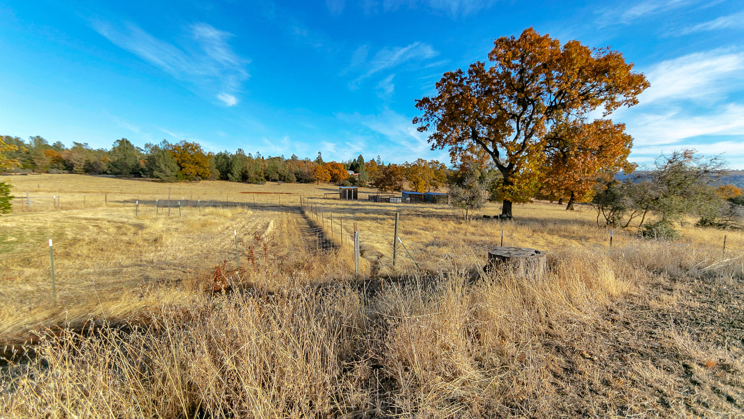 21560 South Powerhouse Road Manton, CA 96059 - Photo 18 of 41 Views forever