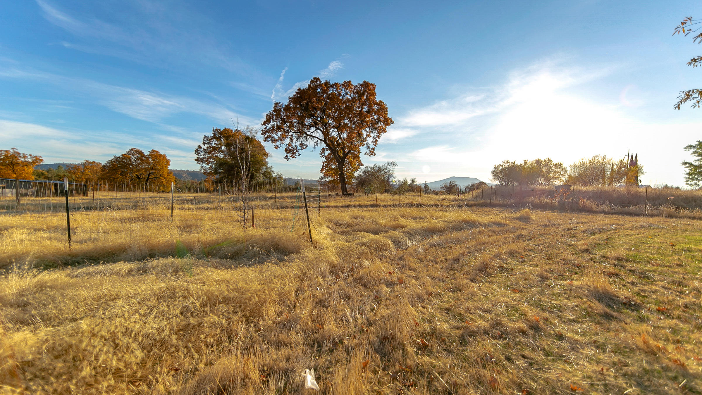 21560 South Powerhouse Road Manton, CA 96059 - Photo 39 of 41 A real stunning piece of property