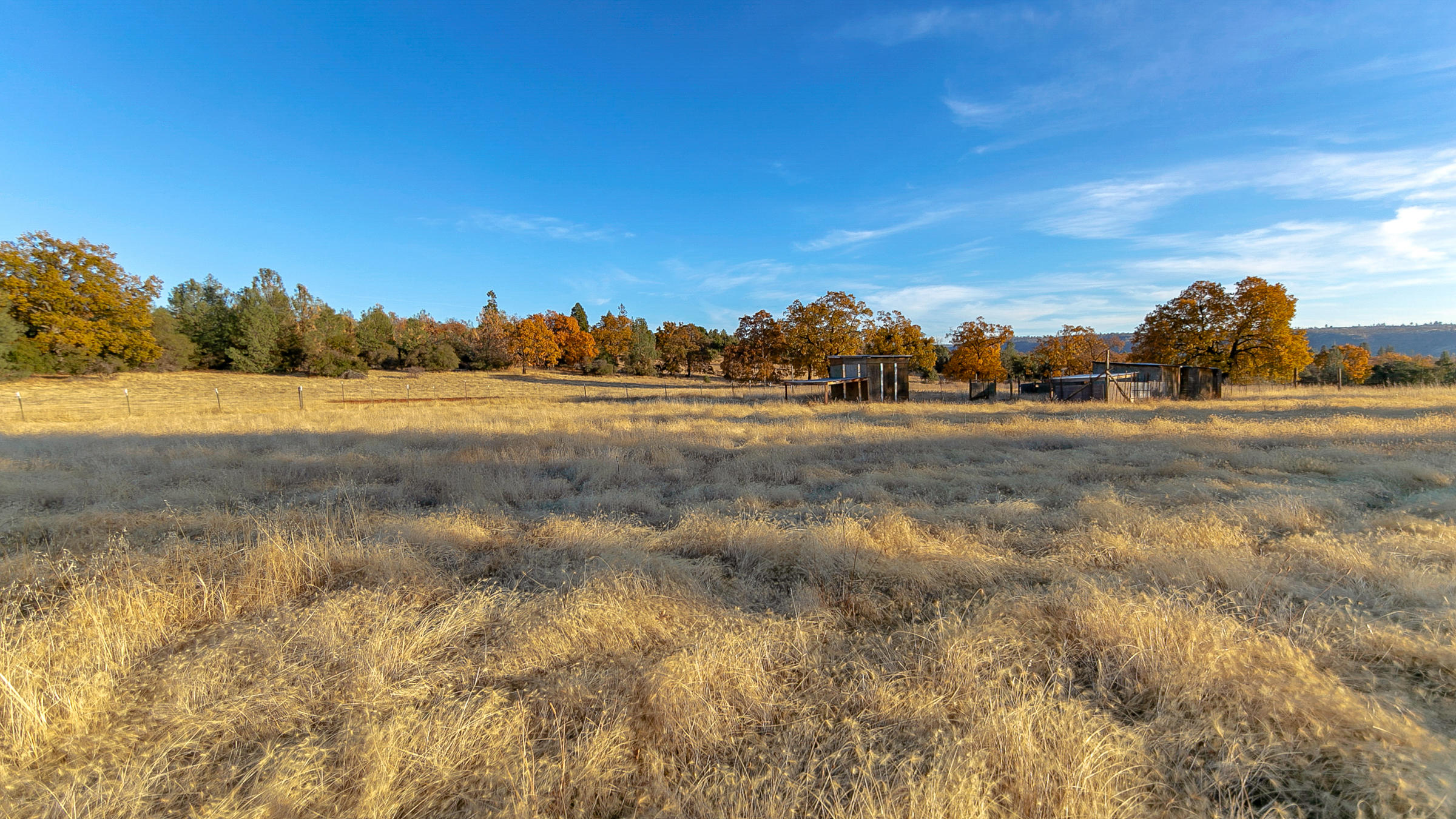 21560 South Powerhouse Road Manton, CA 96059 - Photo 40 of 41 perfect for all your animals