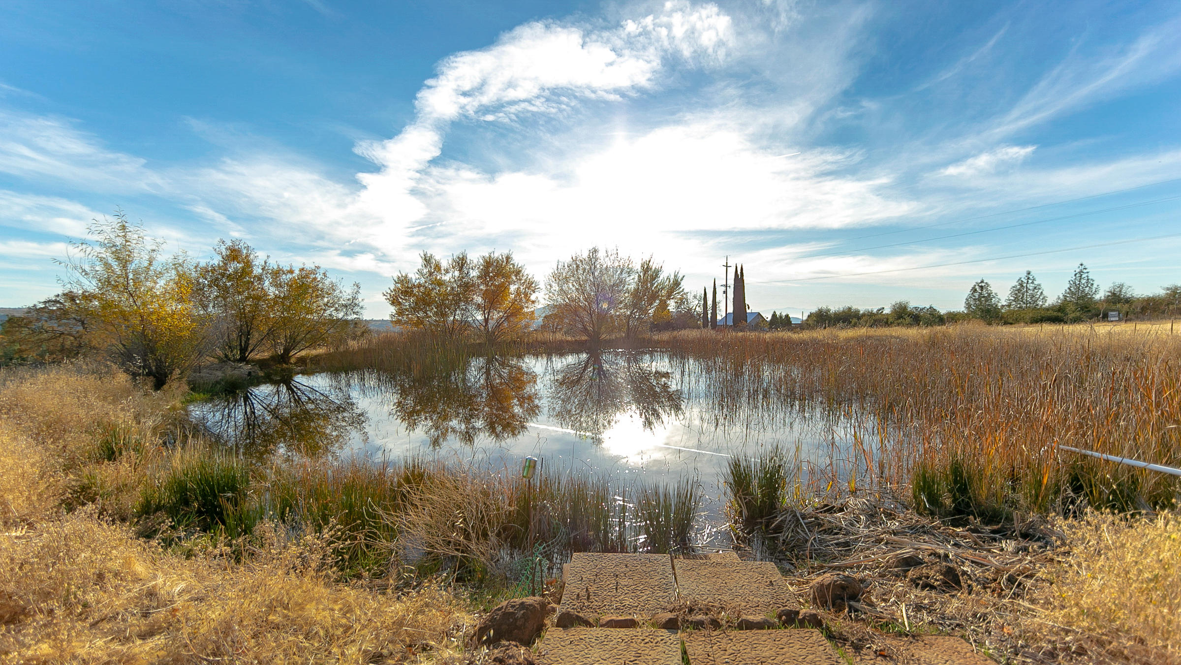 21560 South Powerhouse Road Manton, CA 96059 - Photo 6 of 41 Private pond off your private deck