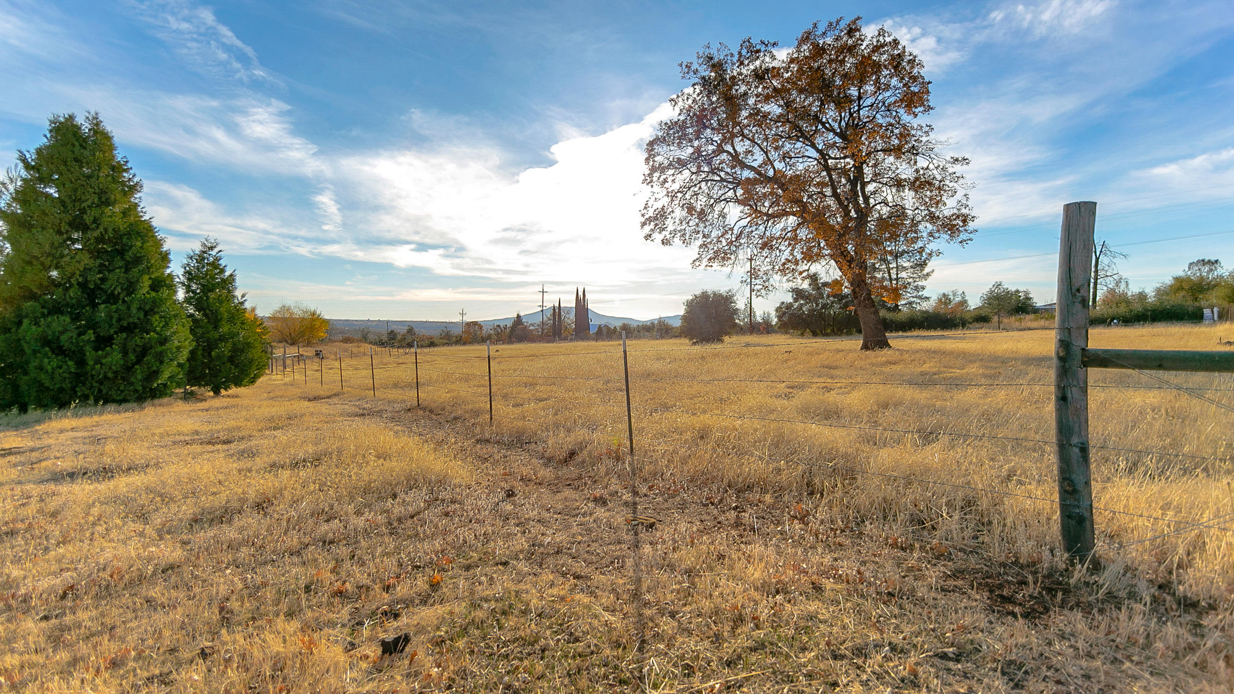 21560 South Powerhouse Road Manton, CA 96059 - Photo 10 of 41 Almost 360 degree view