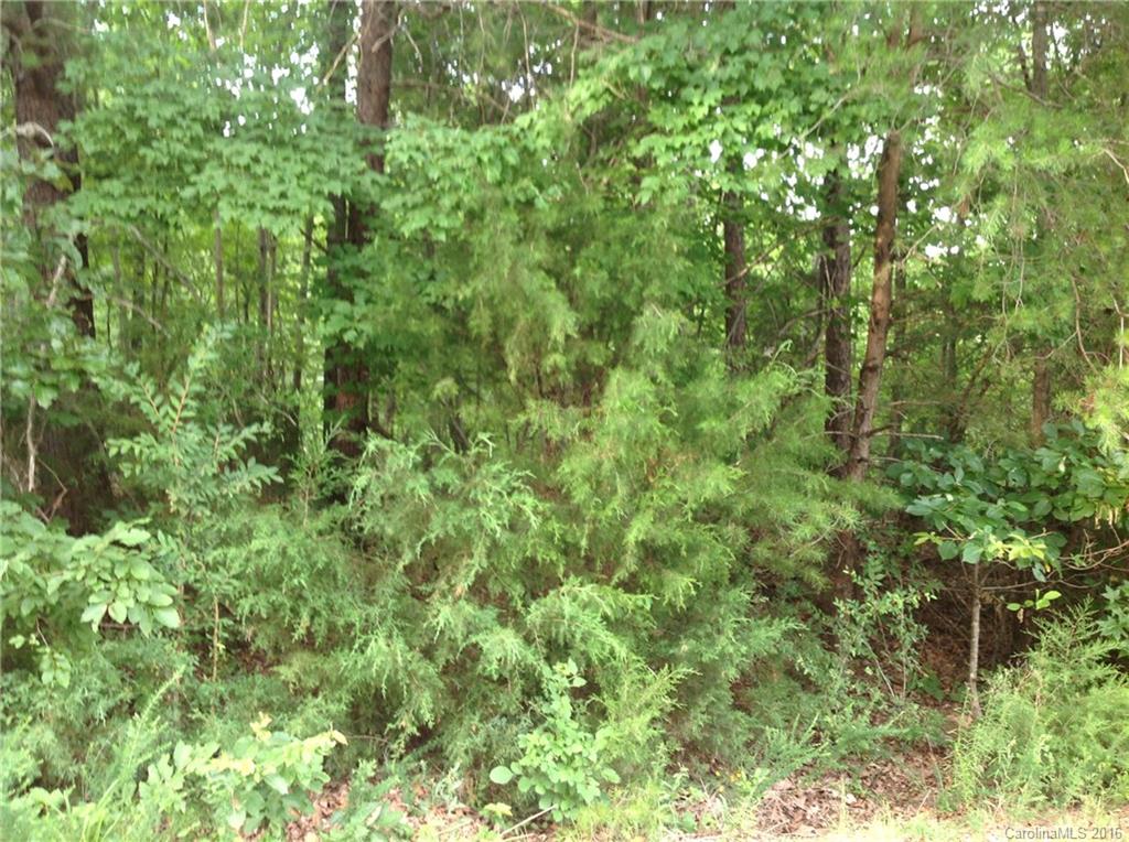 4 Bessbrook Road, Unit 4 Fort Mill, SC 29708 - Photo 1 of 8 a view of a lush green forest