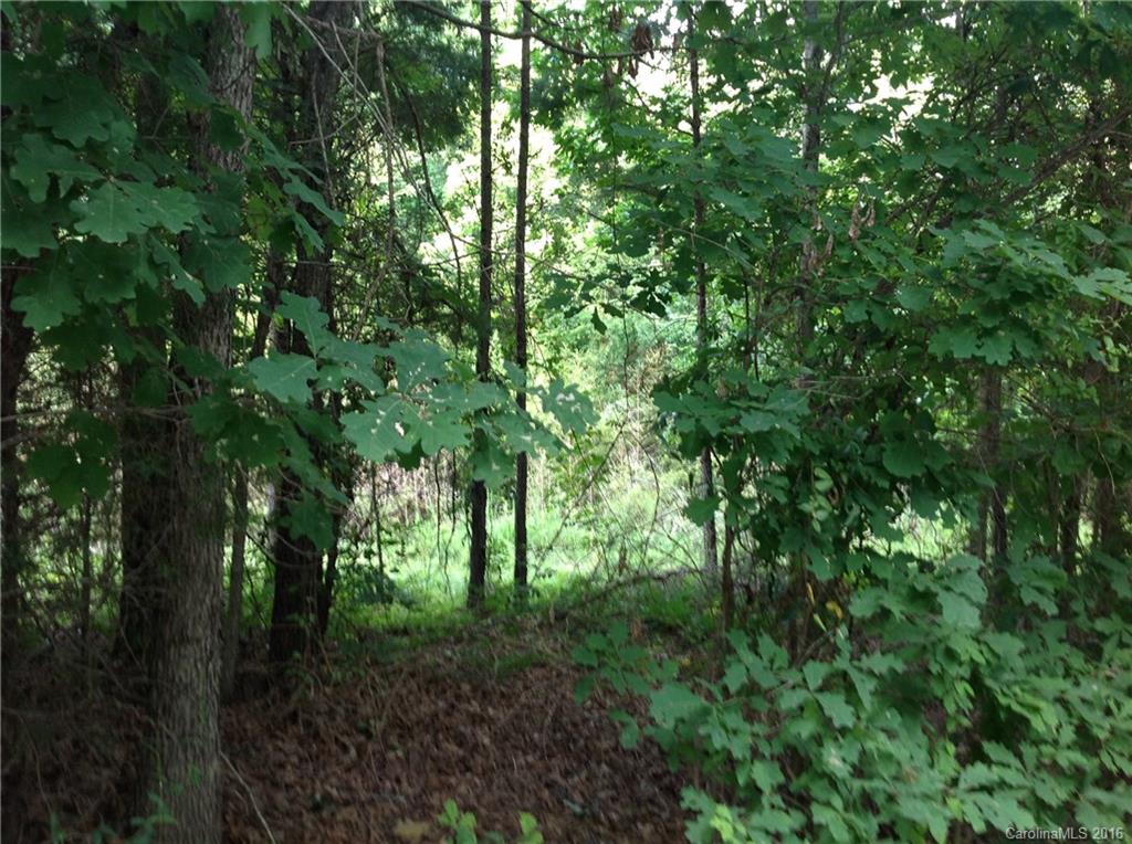 4 Bessbrook Road, Unit 4 Fort Mill, SC 29708 - Photo 4 of 8 a view of a lush green forest