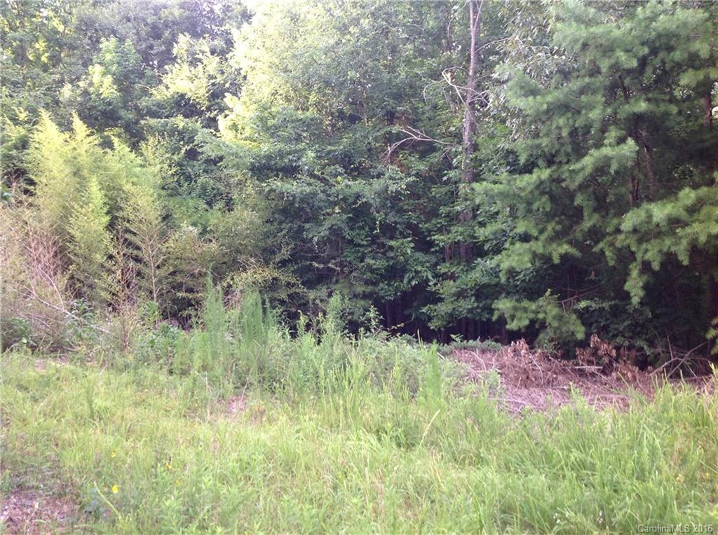 4 Bessbrook Road, Unit 4 Fort Mill, SC 29708 - Photo 5 of 8 a view of a lush green forest