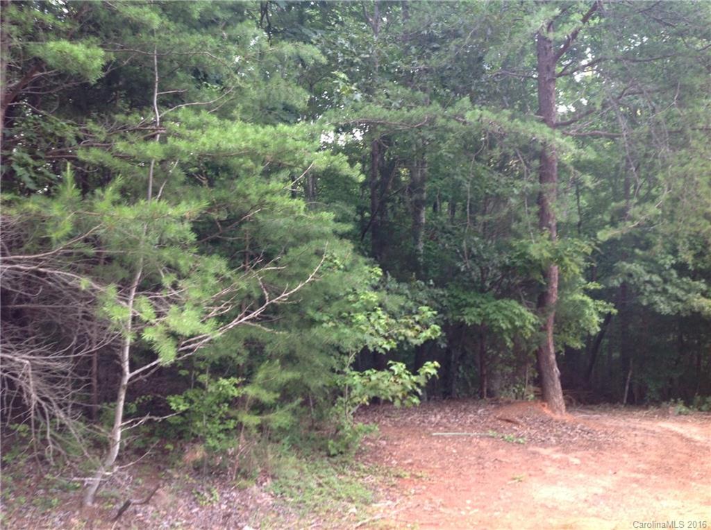 4 Bessbrook Road, Unit 4 Fort Mill, SC 29708 - Photo 6 of 8 a view of a forest with trees
