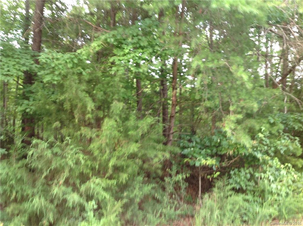 4 Bessbrook Road, Unit 4 Fort Mill, SC 29708 - Photo 7 of 8 a view of a lush green forest