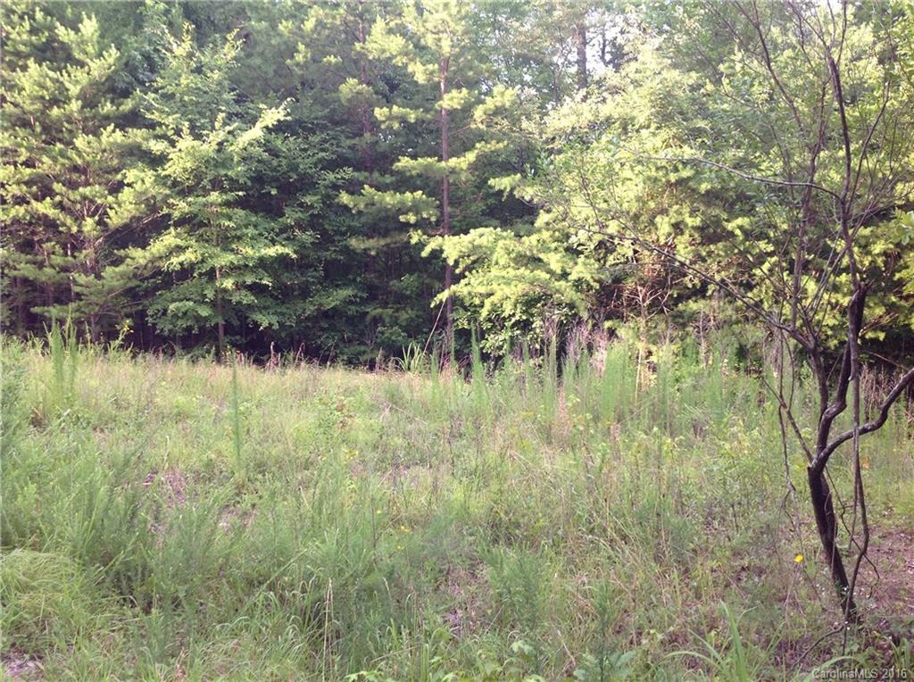 4 Bessbrook Road, Unit 4 Fort Mill, SC 29708 - Photo 8 of 8
