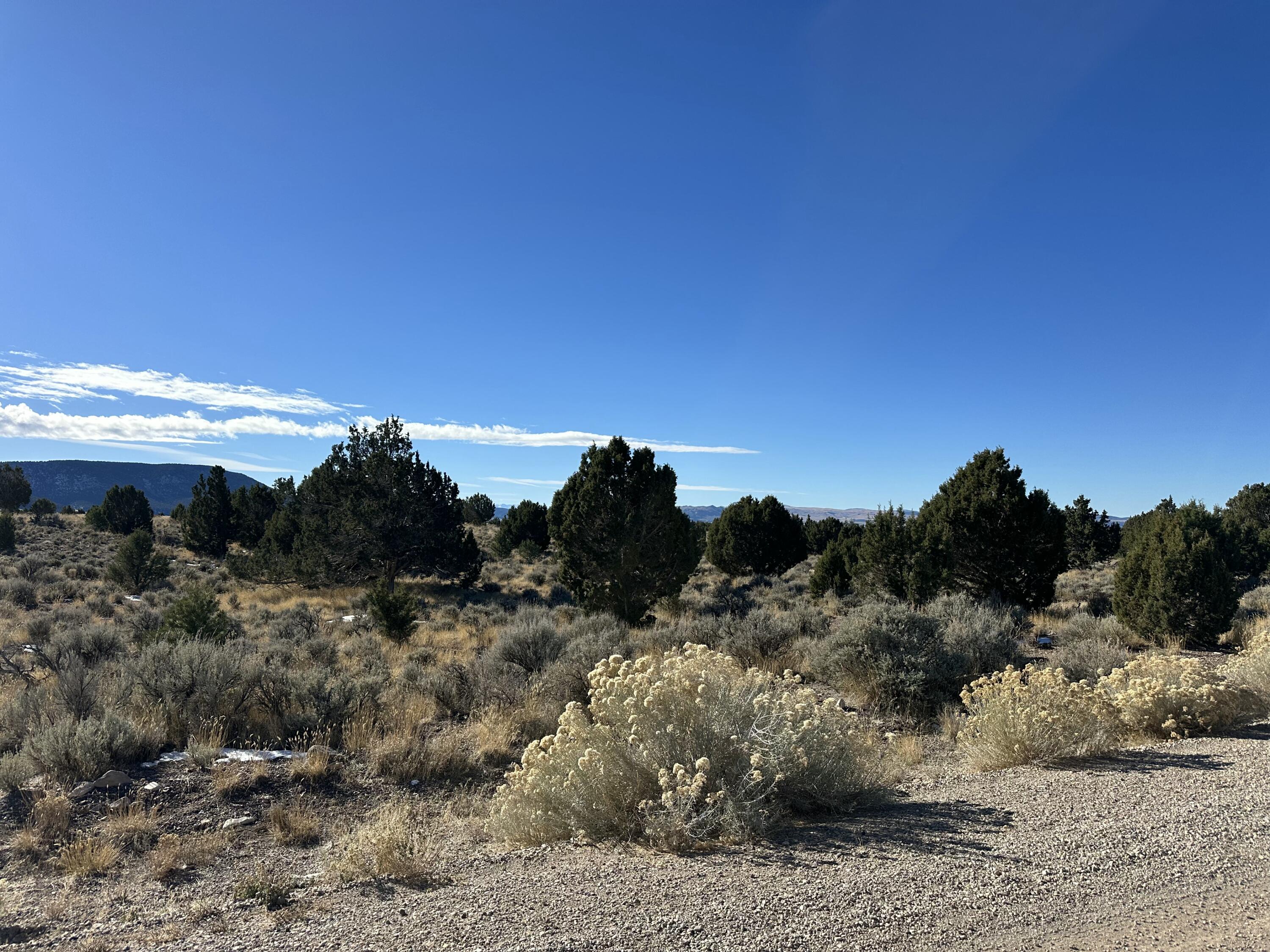 Parcel Parcel 1-0248-0009 Beaver, UT 84713 - Photo 1 of 11 Lot
