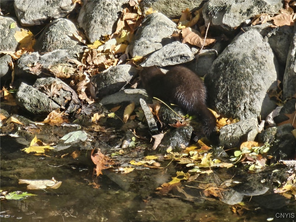 6708 East Lake Road Owasco, NY 13021 - Photo 22 of 29