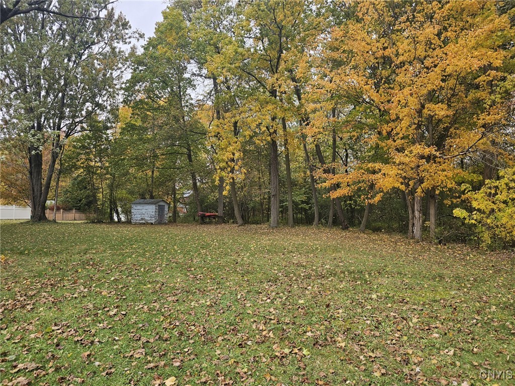 6708 East Lake Road Owasco, NY 13021 - Photo 8 of 29