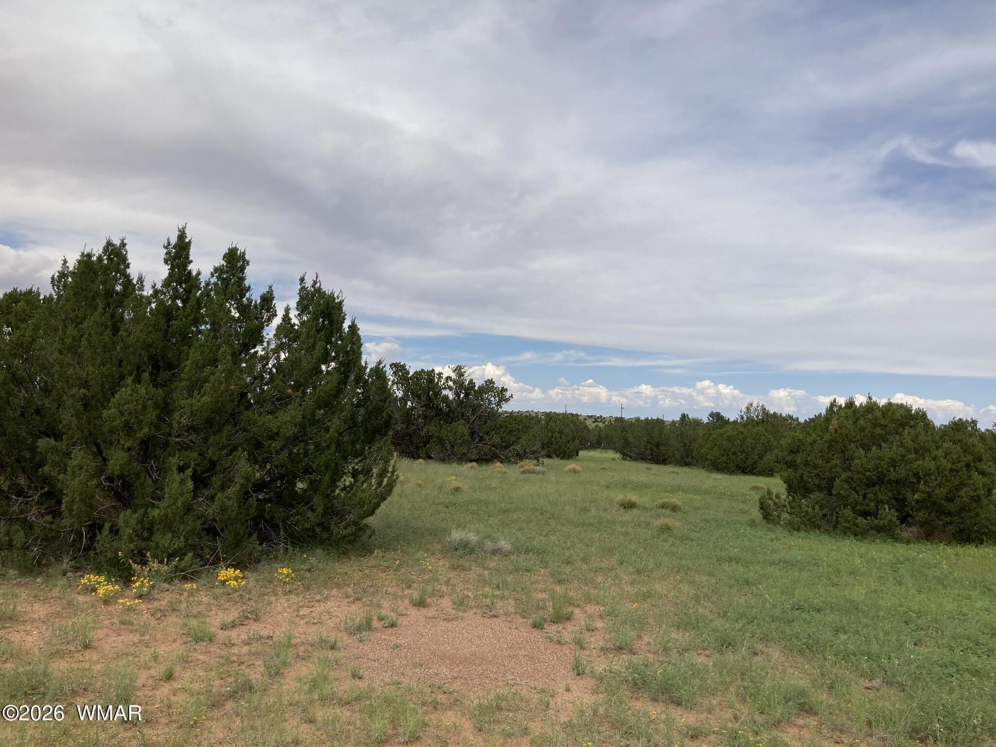 4979 Tharp Road Snowflake, AZ 85937 - Photo 17 of 19