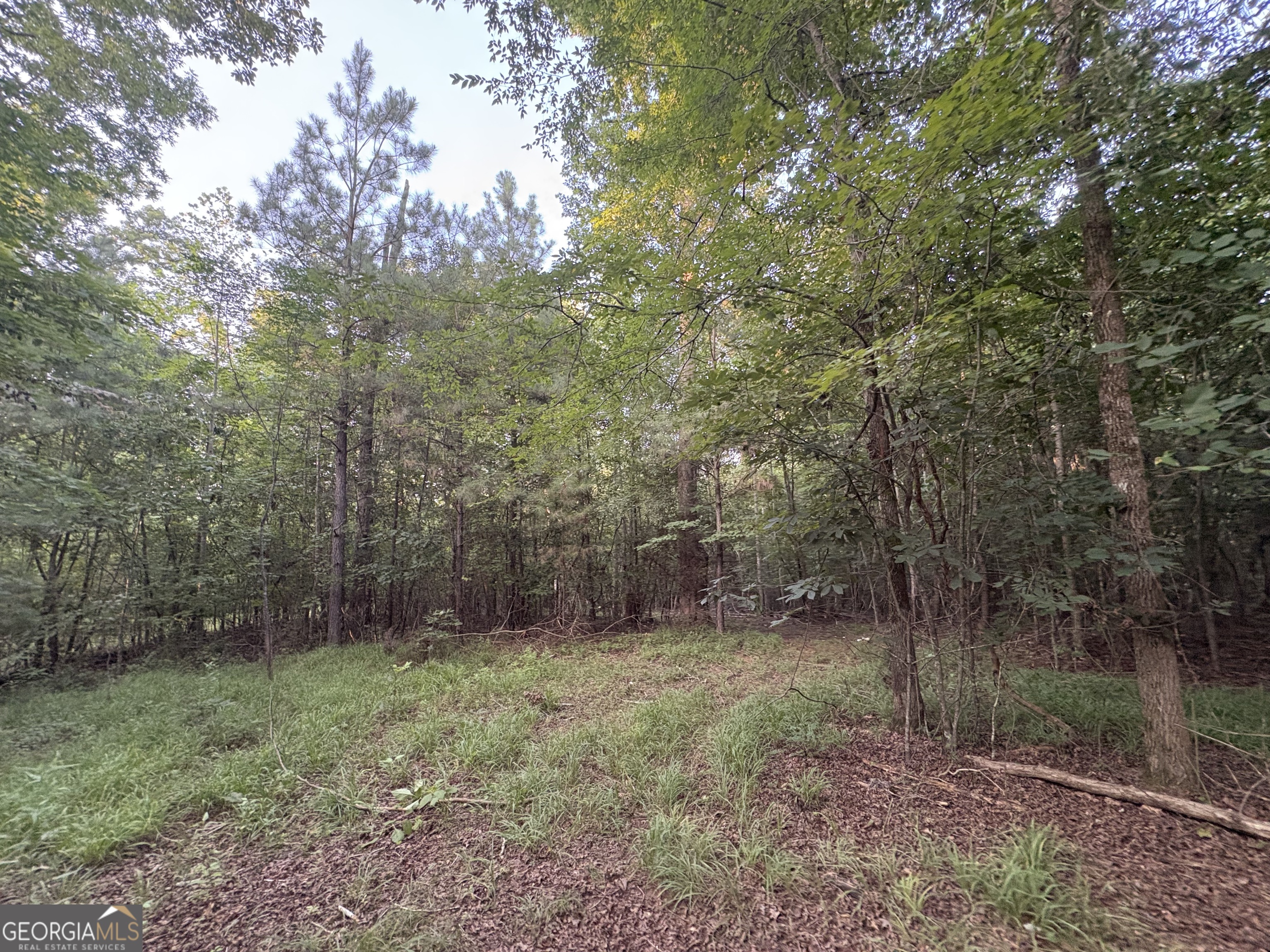 6 Bunch Road Tignall, GA 30668 - Photo 17 of 41 Gallery Image 17