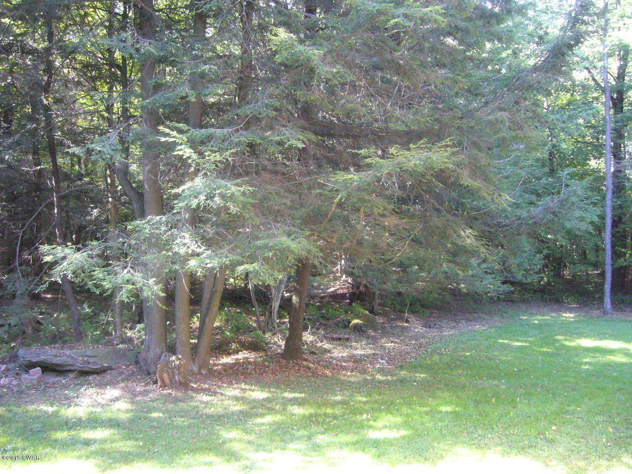 3438 Wrighter Lake Road Starrucca, PA 18462 - Photo 38 of 41