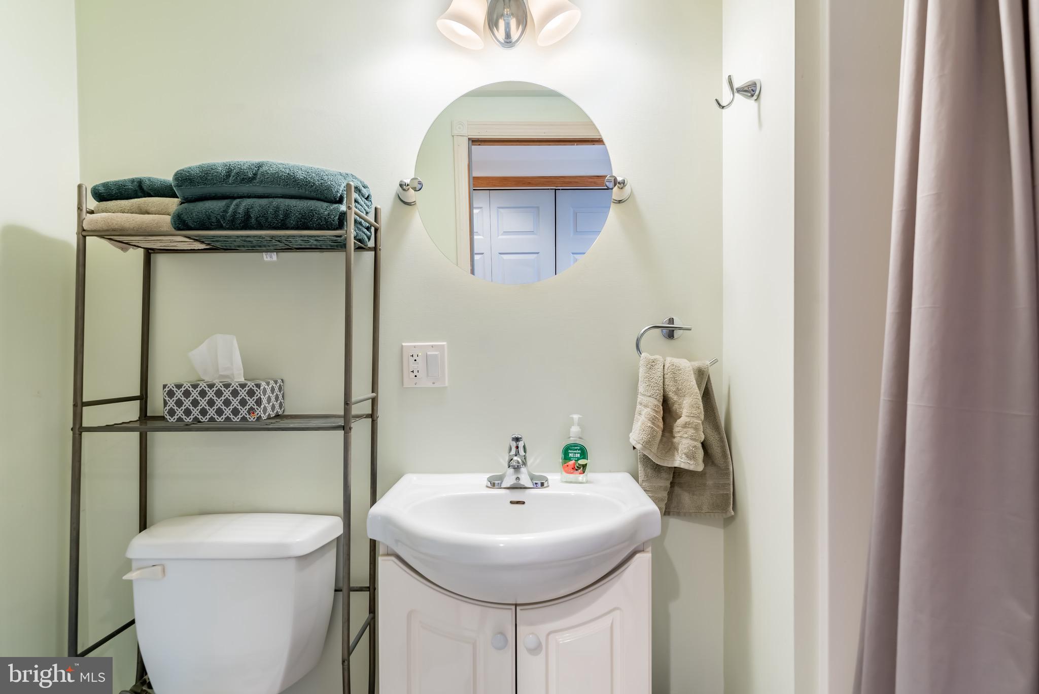 213 Hilltop Road Boiling Springs, PA 17007 - Photo 19 of 31 Lower Level Full Bath