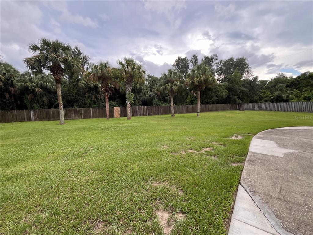6560 Timberlane Road Lake Wales, FL 33898 - Photo 28 of 31 a view of a park and entertaining space