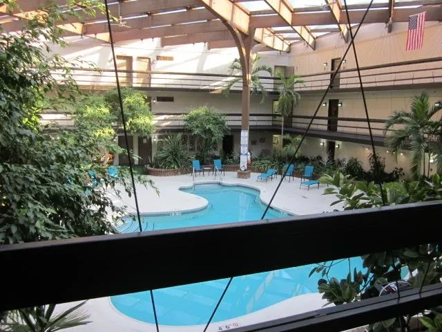 a view of a swimming pool with a dining table and chairs
