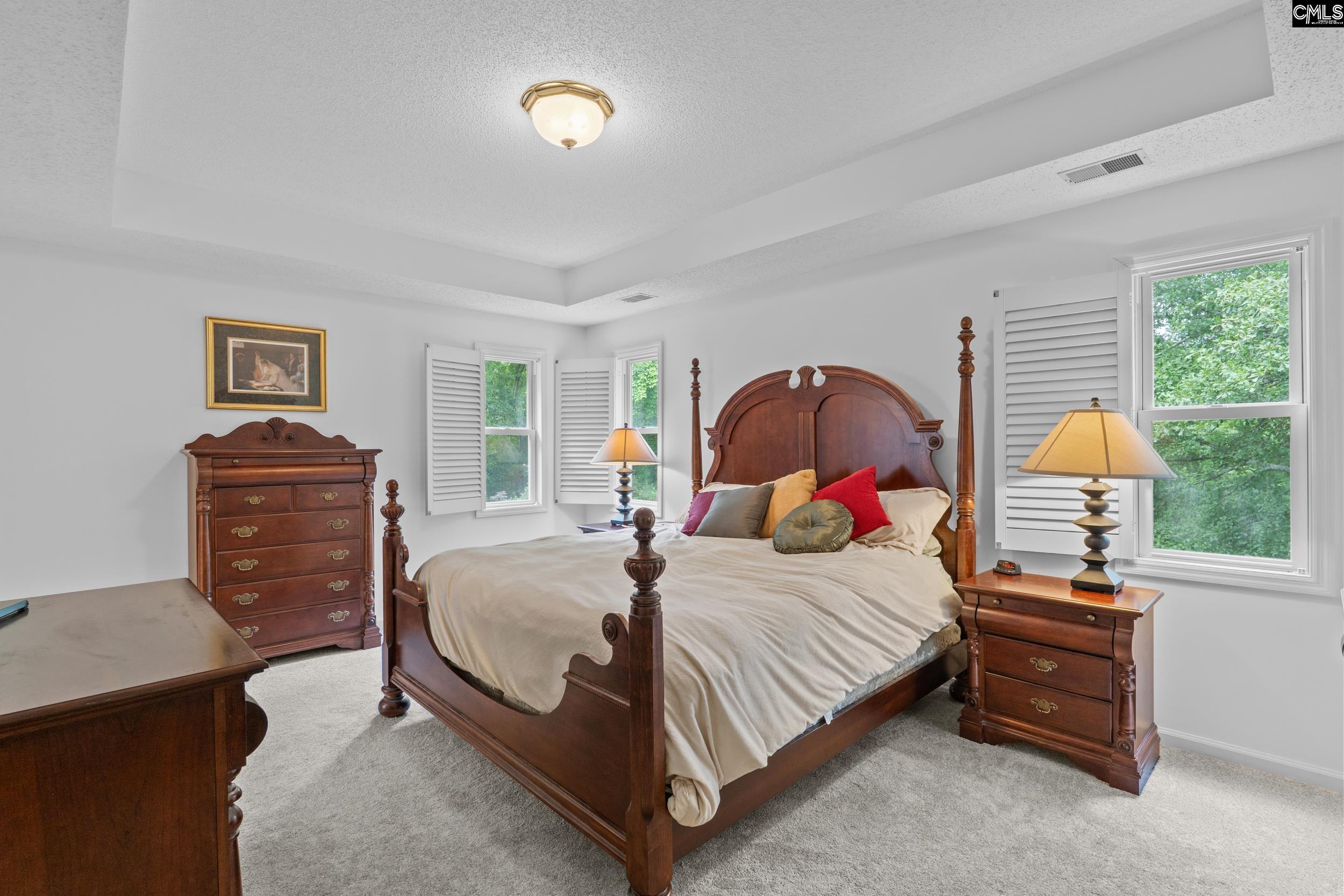 132 Forts Pond Road Pelion, SC 29123 - Photo 22 of 54