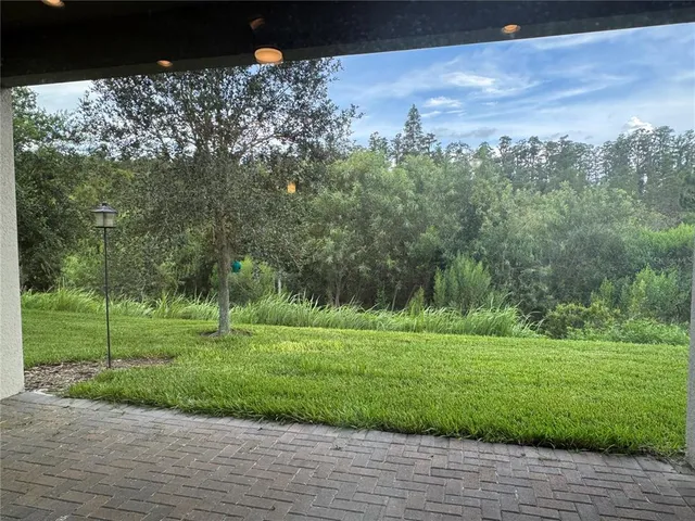 a view of a backyard with large trees