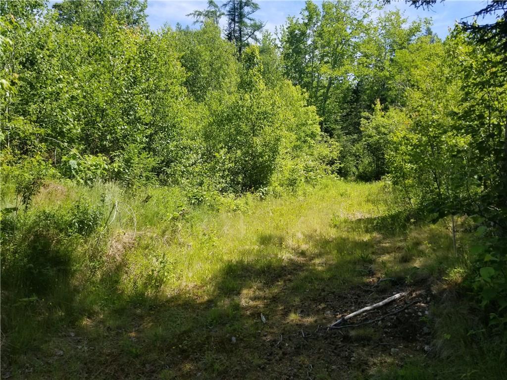 128 Morancy Road Sullivan, ME 04664 - Photo 10 of 17 Photo