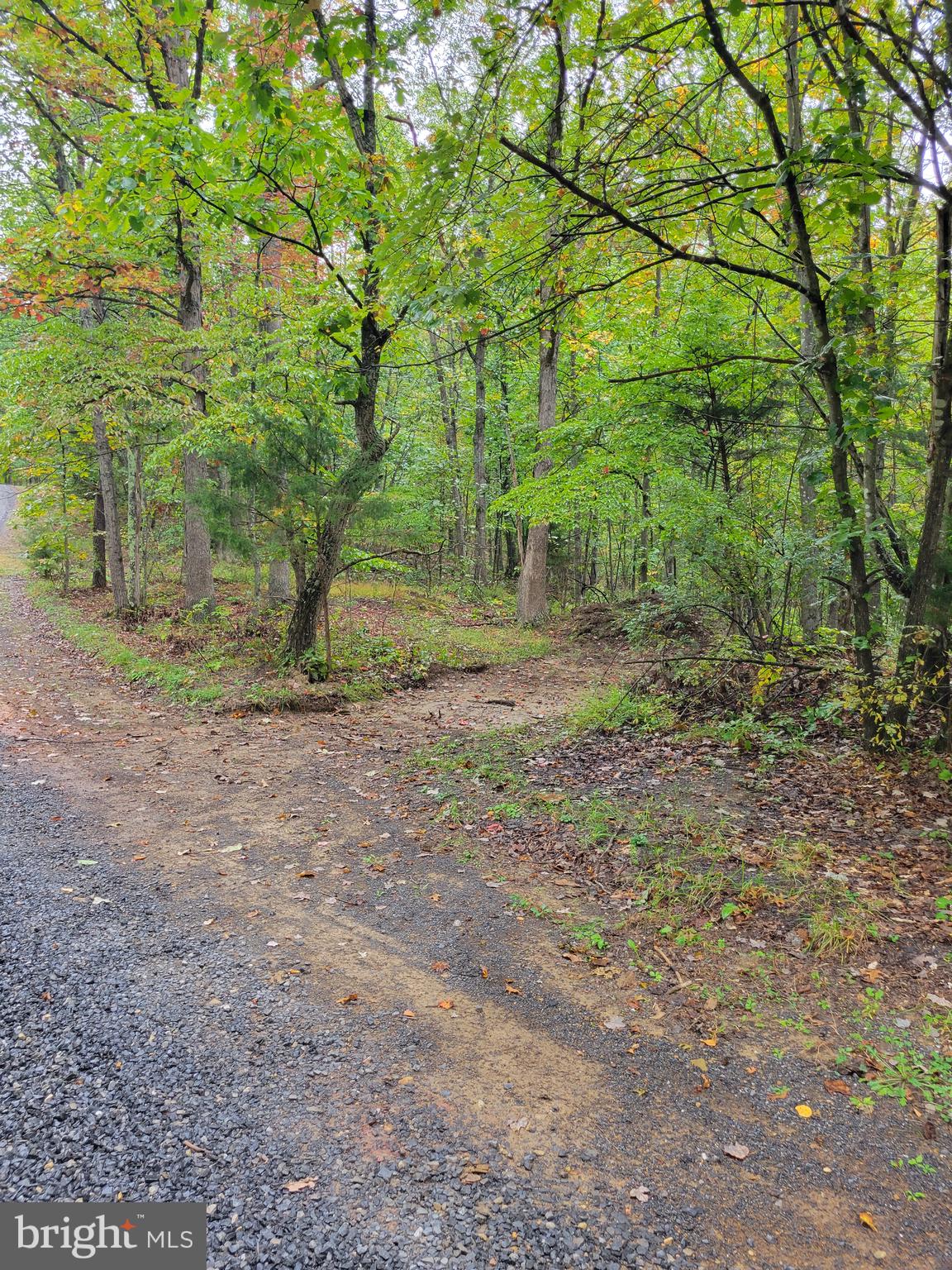 Hawks Way Delray, WV 26714 - Photo 5 of 8 Along Buck Run