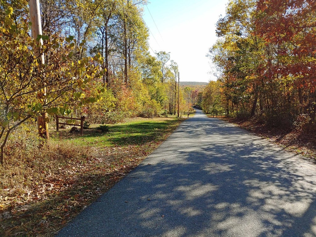 Lot 14 Weaver Wds Road Saxton, PA 16678 - Photo 4 of 5 Gallery Image 4