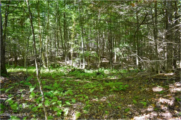 $68,900 | 82 Carriage Knoll Road, Chestertown, NY 12817