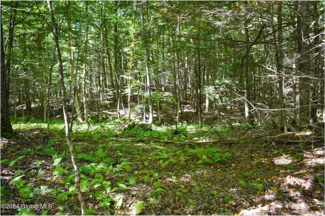 $68,900 | 82 Carriage Knoll Road, Chestertown, NY 12817