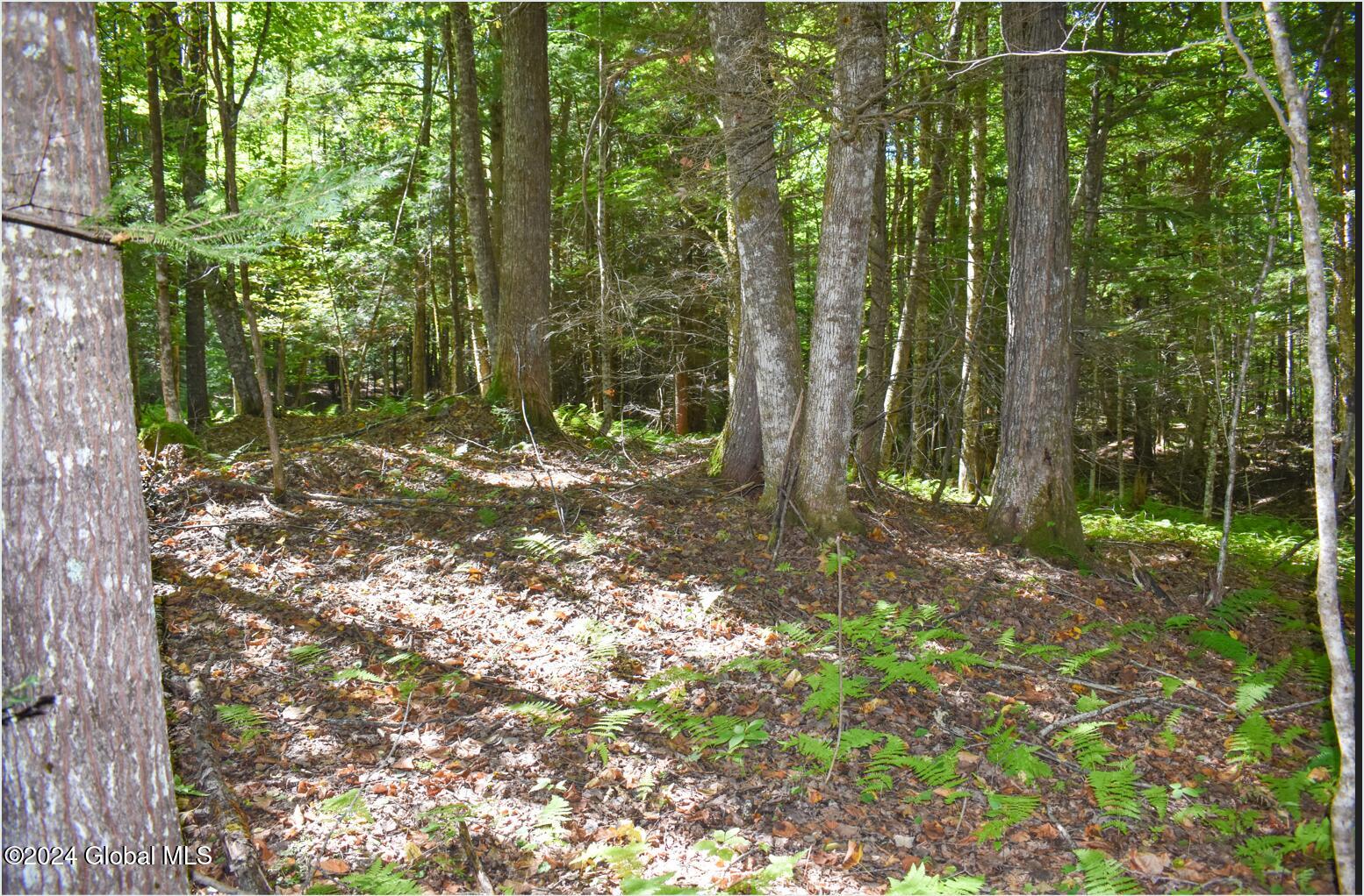 82 Carriage Knoll Road Chestertown, NY 12817 - Photo 12 of 23 82i