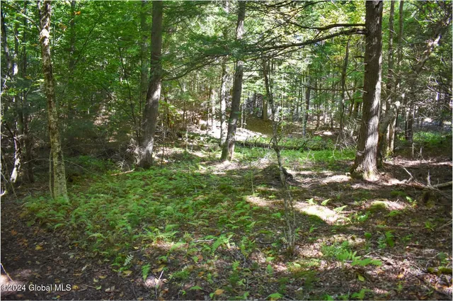 $68,900 | 82 Carriage Knoll Road, Chestertown, NY 12817