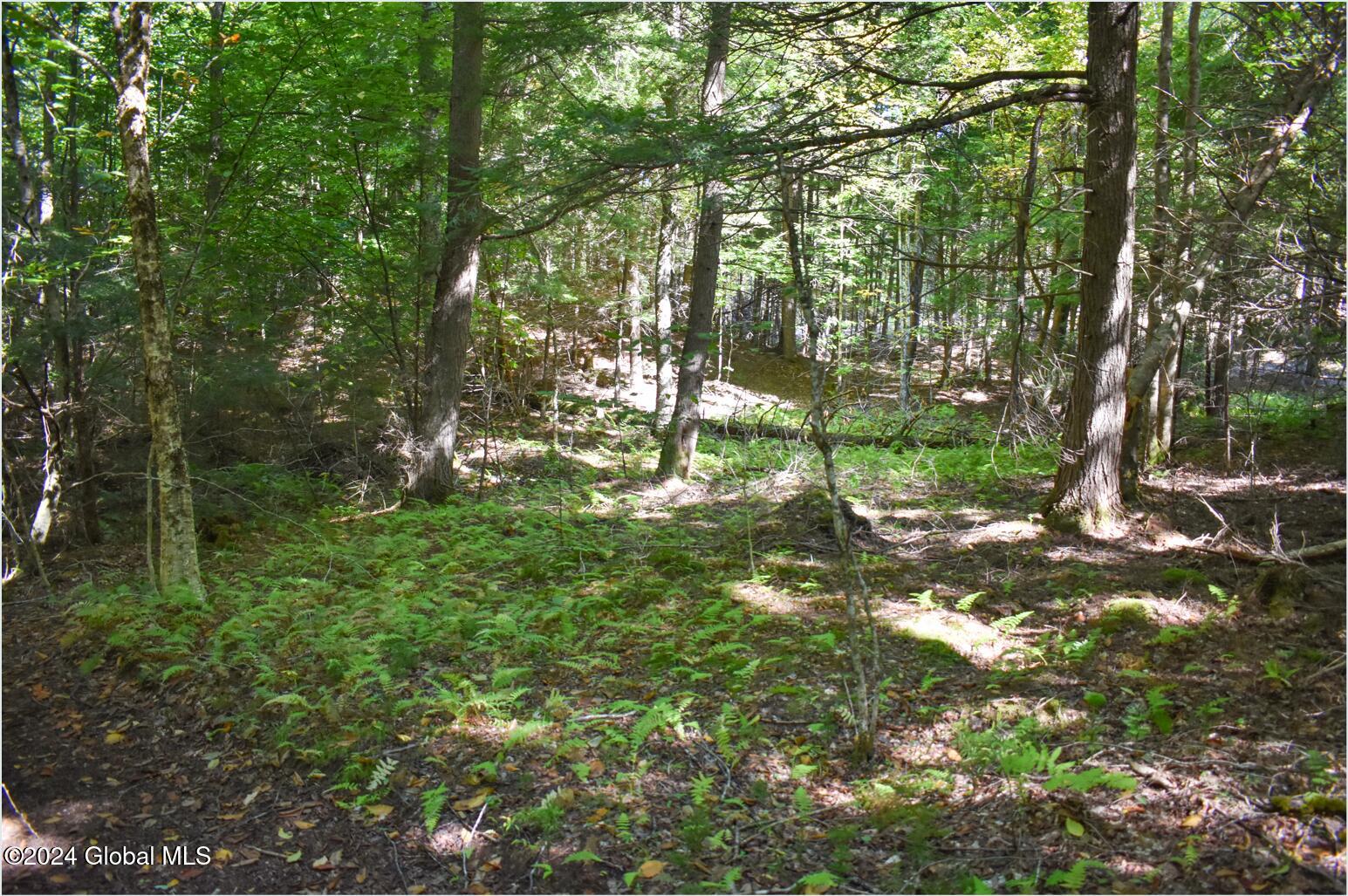 82 Carriage Knoll Road Chestertown, NY 12817 - Photo 13 of 23 82a