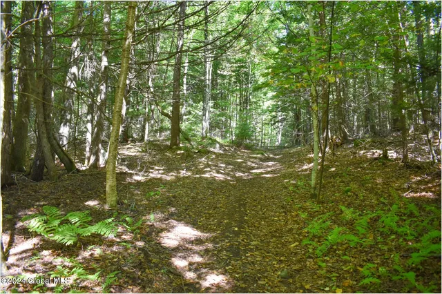 $68,900 | 82 Carriage Knoll Road, Chestertown, NY 12817