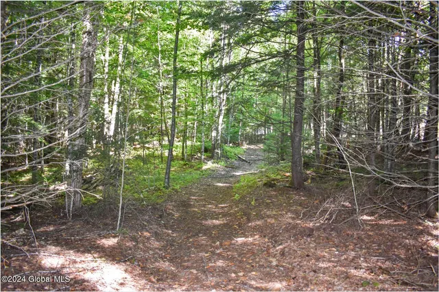 $68,900 | 82 Carriage Knoll Road, Chestertown, NY 12817