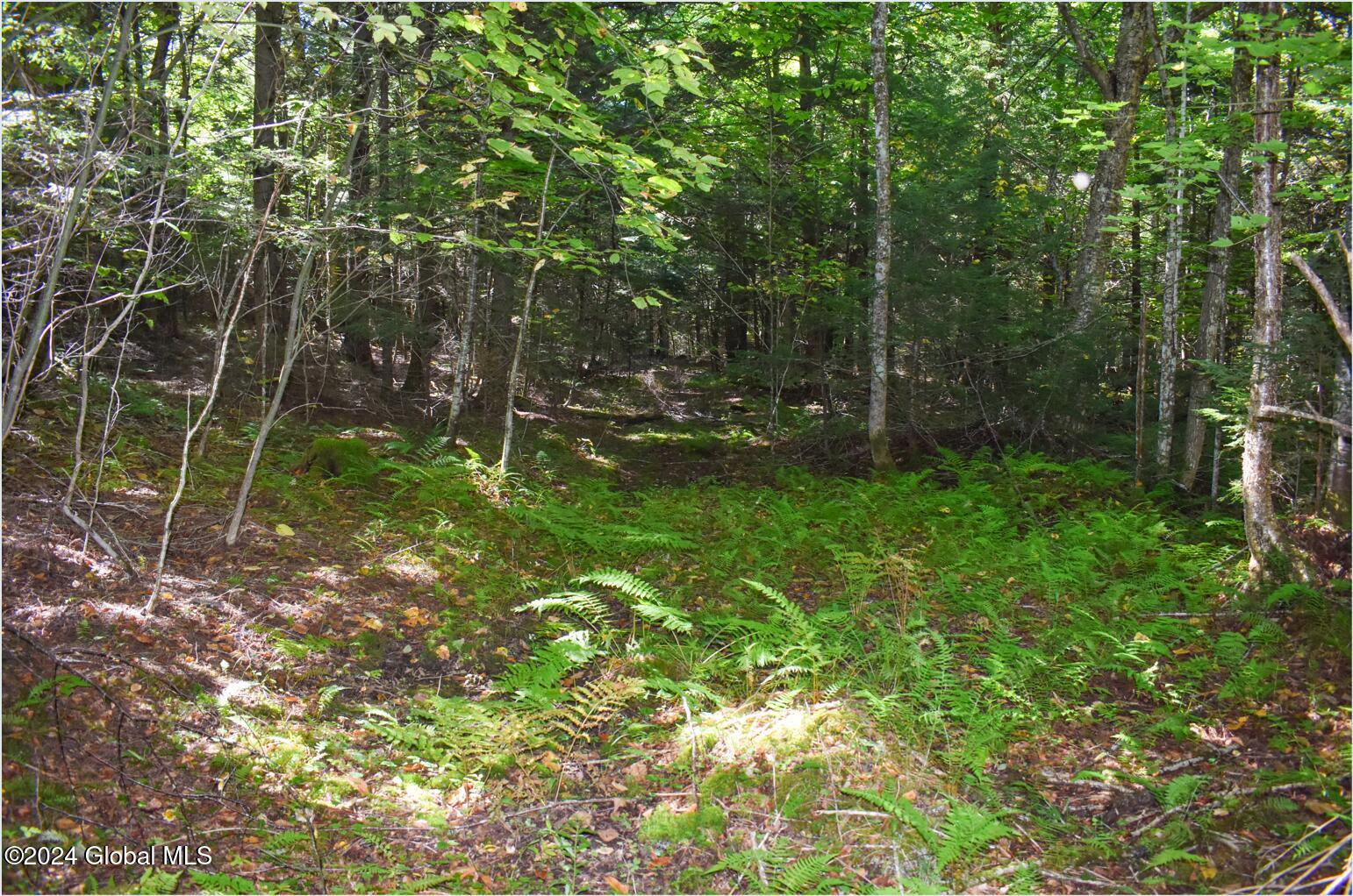 82 Carriage Knoll Road Chestertown, NY 12817 - Photo 16 of 23 82b