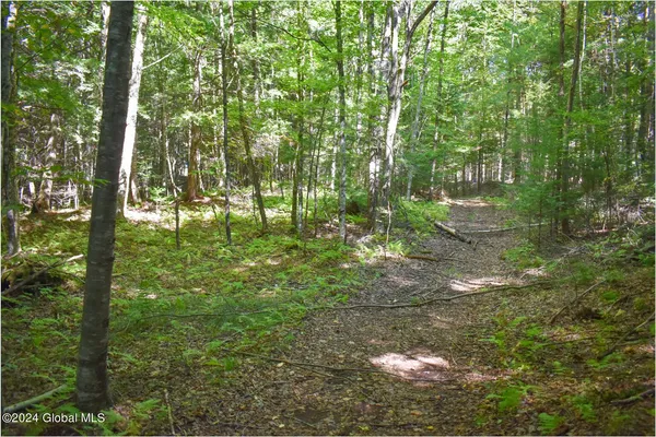$68,900 | 82 Carriage Knoll Road, Chestertown, NY 12817