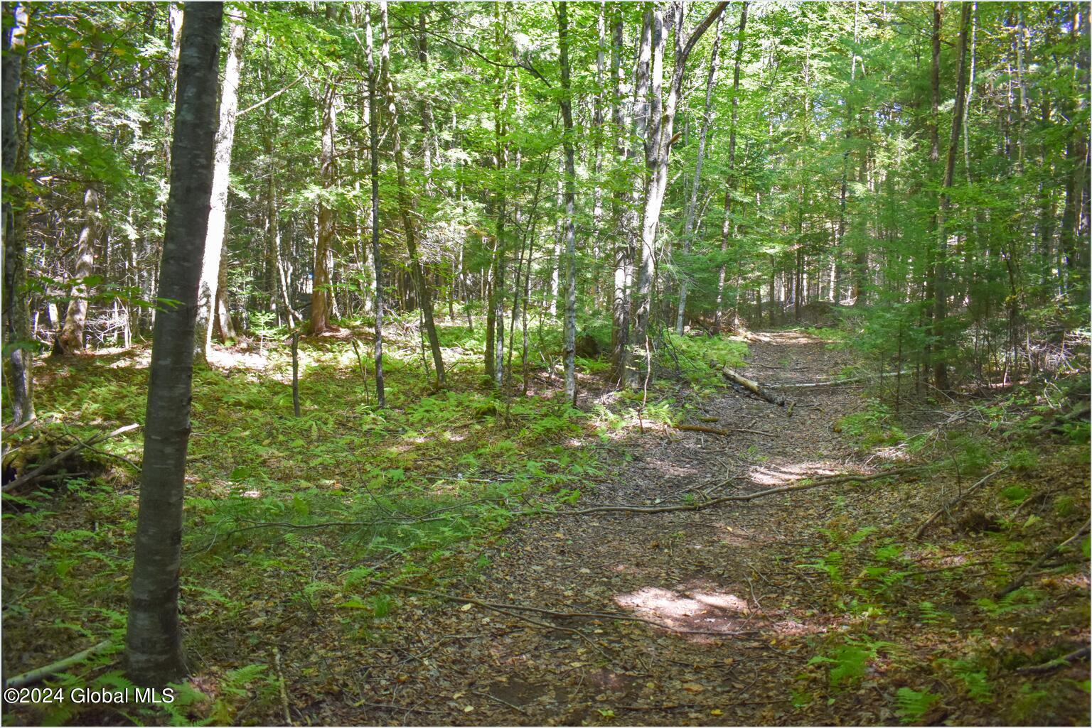 82 Carriage Knoll Road Chestertown, NY 12817 - Photo 8 of 23 82e