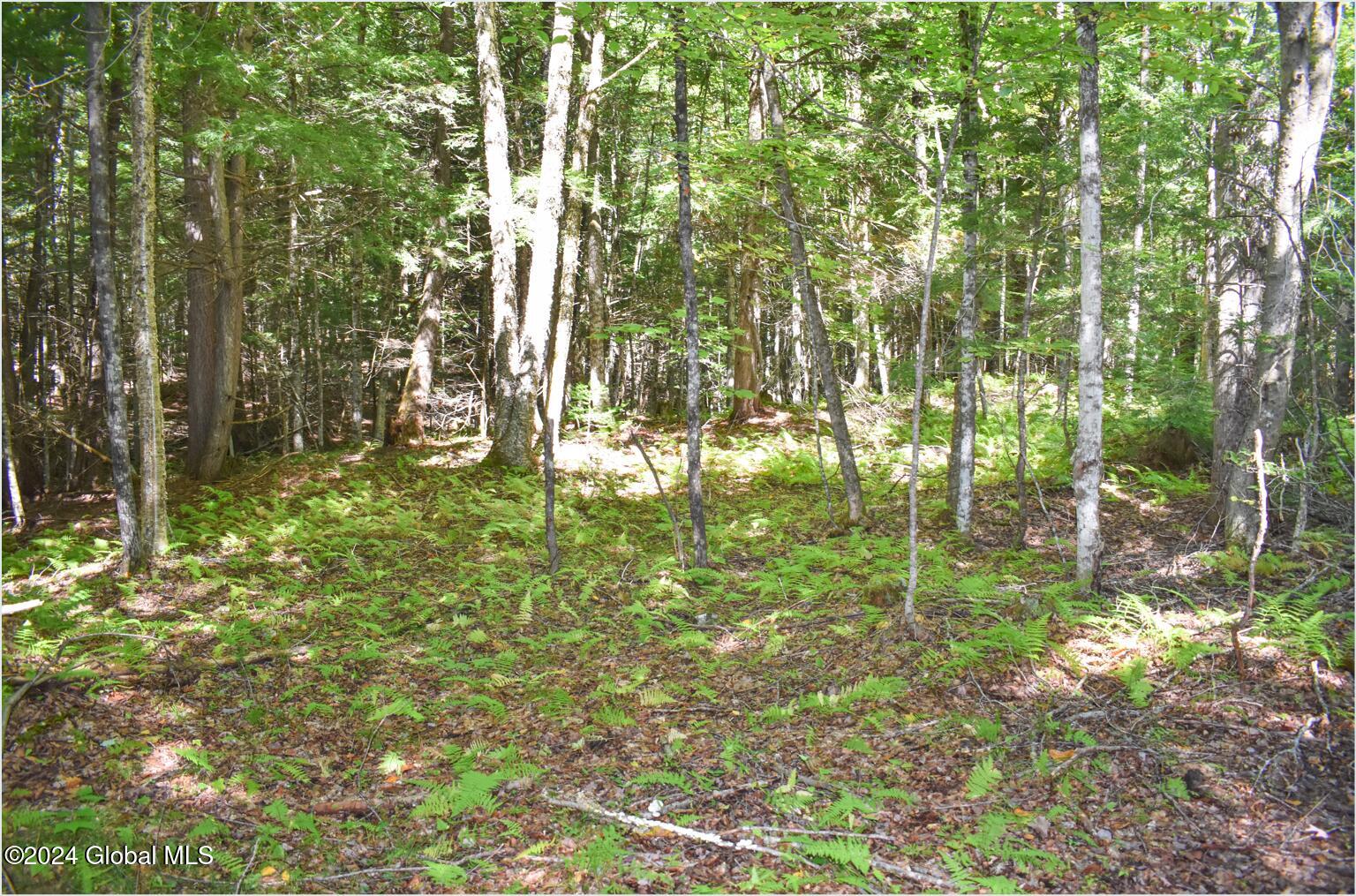 82 Carriage Knoll Road Chestertown, NY 12817 - Photo 9 of 23 82f