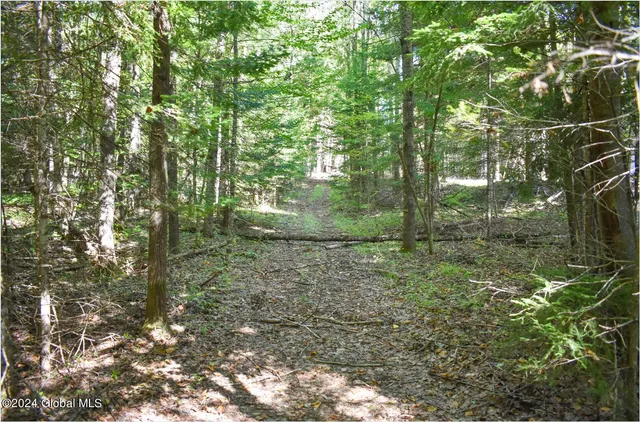 $68,900 | 82 Carriage Knoll Road, Chestertown, NY 12817