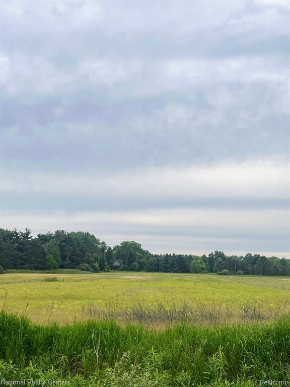 Parcel G Burt Road Allenton, MI 48002 - Photo 2 of 2