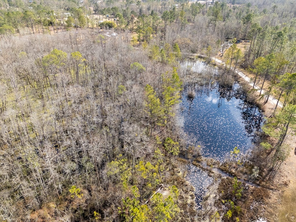 4568 Boring Pond Road Valdosta, GA 31606 - Photo 40 of 42 Gallery Image 40